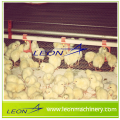 Leon hot price automatic drinking water system for poultry